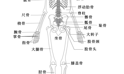 小儿吃布罗芬半小时不出汗怎么回事专区_小孩服用布洛芬后不到四小时就发热模式专区_小儿吃布罗芬半小时不出汗网