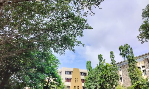 小儿吃布罗芬半小时不出汗怎么回事专区_小孩服用布洛芬后不到四小时就发热模式专区_小儿吃布罗芬半小时不出汗网